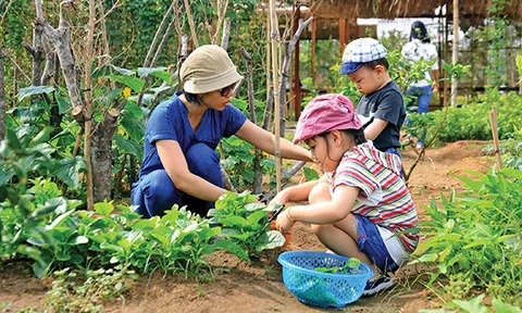 Có nên cho con về nông thôn để con có những trải nghiệm thực tế hay không?